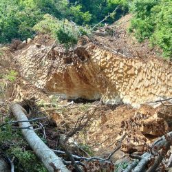 真夏の山でイワナ釣り ～九頭竜川水系～